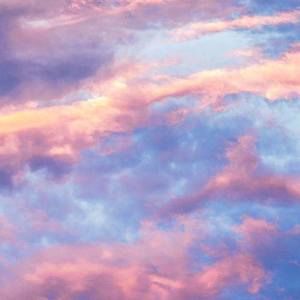 Meet your Posher, Julianna